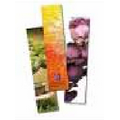 Bookmark - 120 Lb. Gloss Cover/ 2"x7" (Full Color/ Blank)
